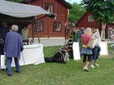 Matte med hund i Wadköping