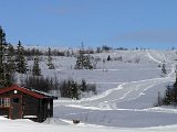 Storhogna_012