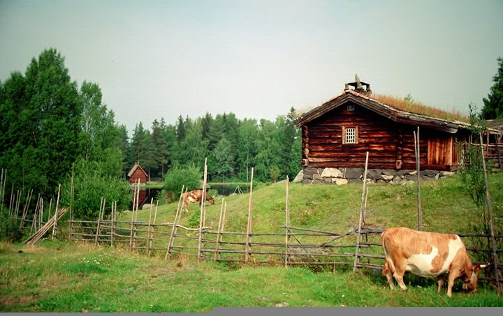 Maihaugen 07