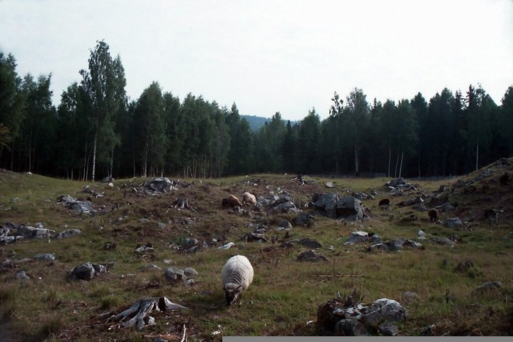 Maihaugen 09