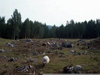 Maihaugen 09