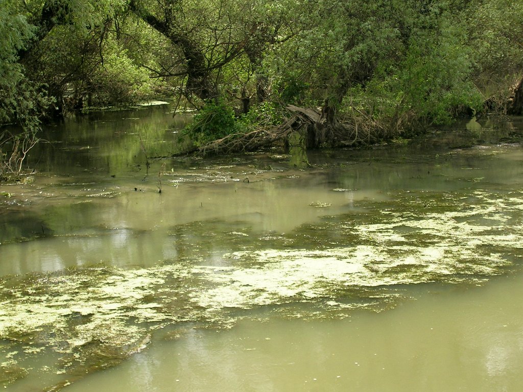 Donaudeltat 02