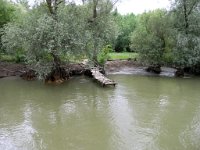 Donaudeltat 05