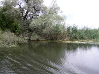 Donaudeltat 06