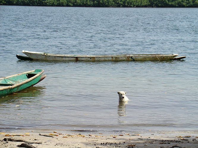 Senegal 08