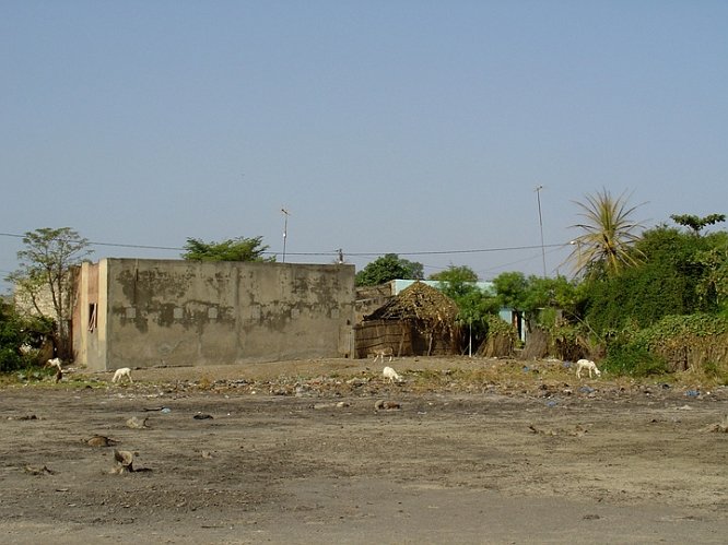 Senegal 14