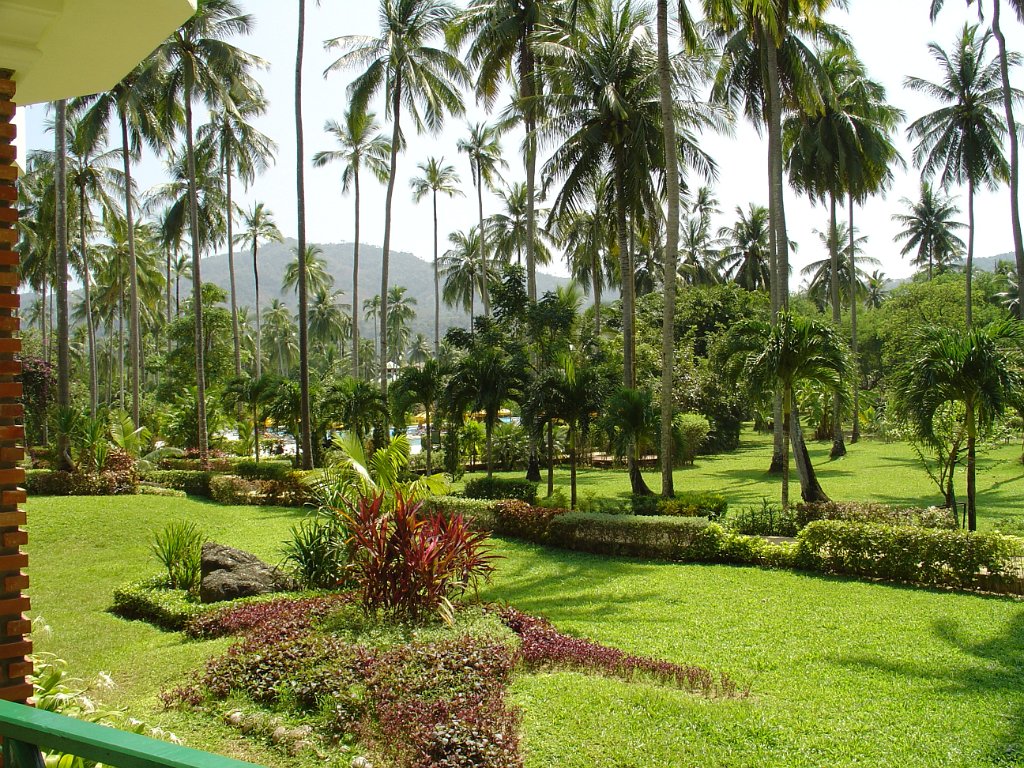 Duangjitt Resort 001