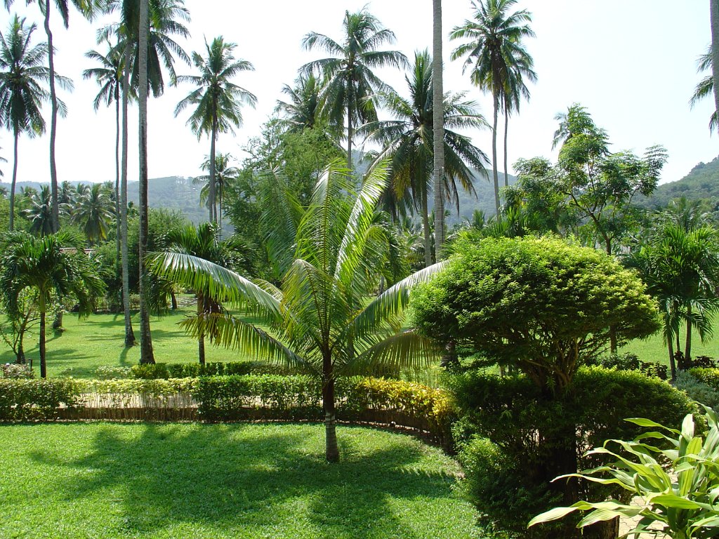 Duangjitt Resort 002