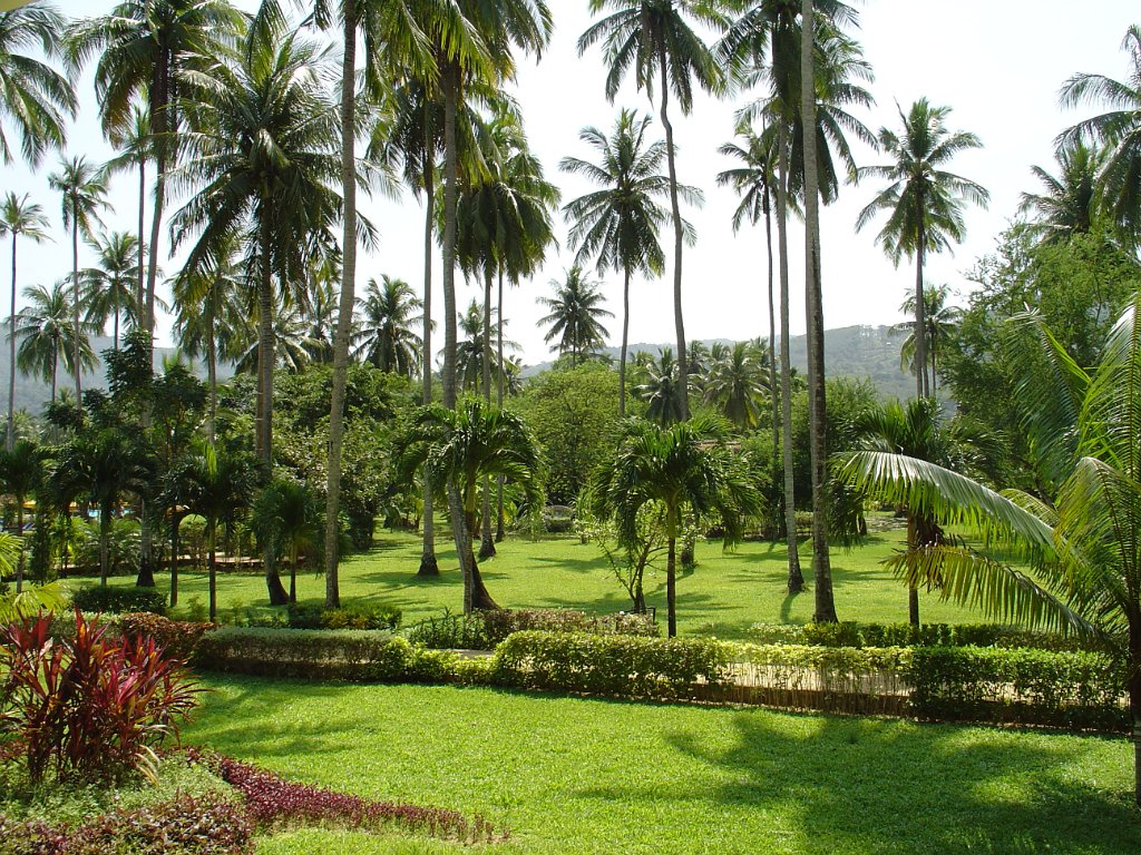 Duangjitt Resort 003