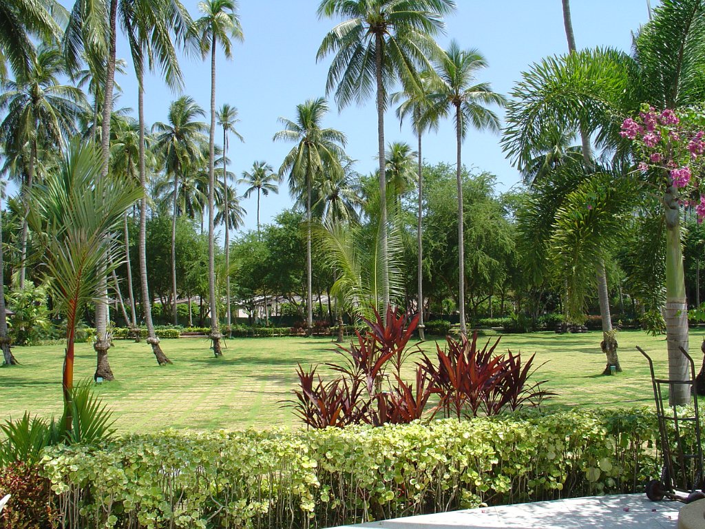 Duangjitt Resort 005