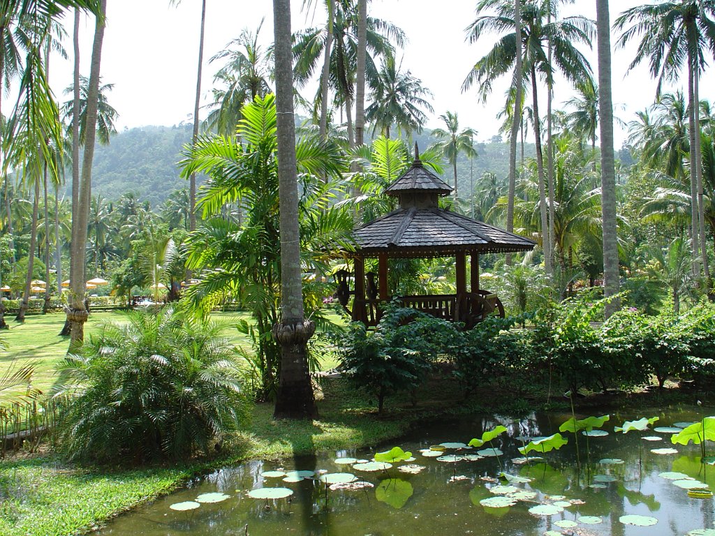 Duangjitt Resort 010