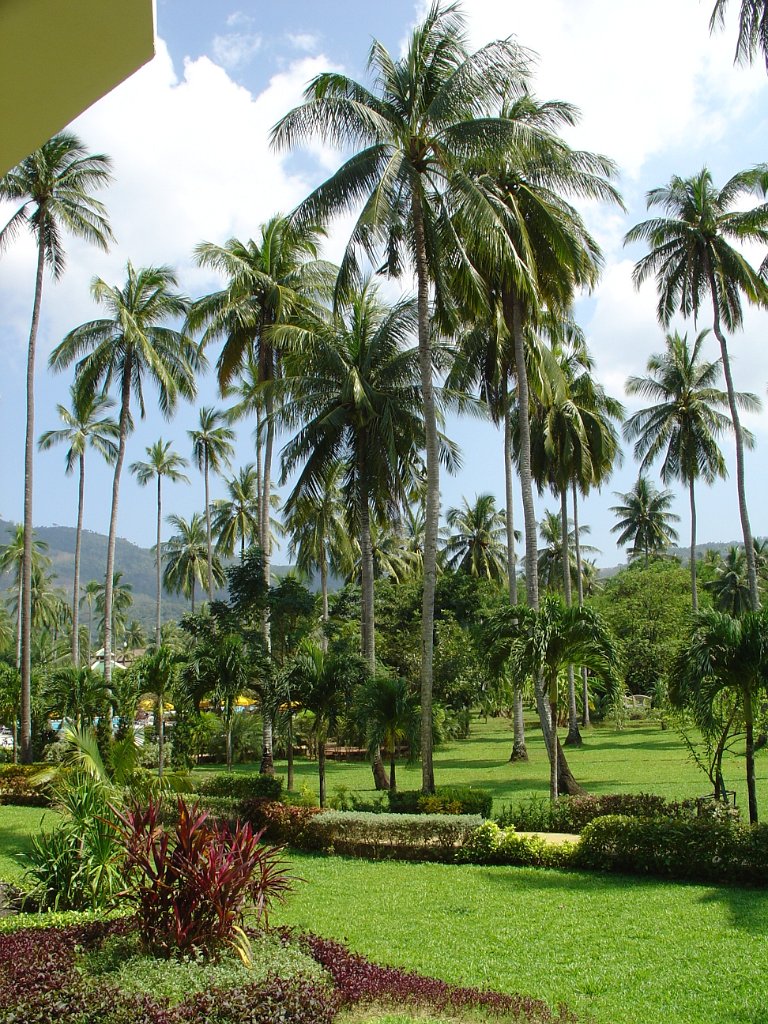 Duangjitt Resort 013