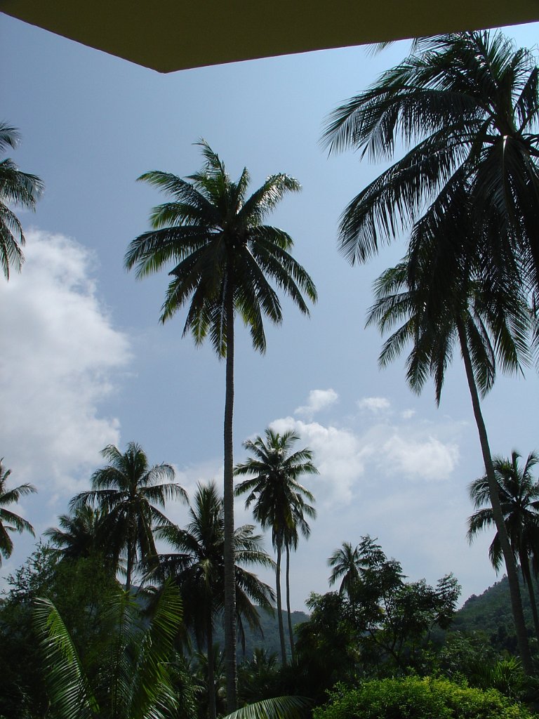 Duangjitt Resort 014