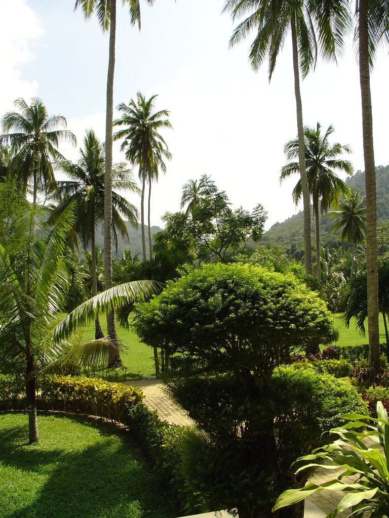 Duangjitt Resort 015