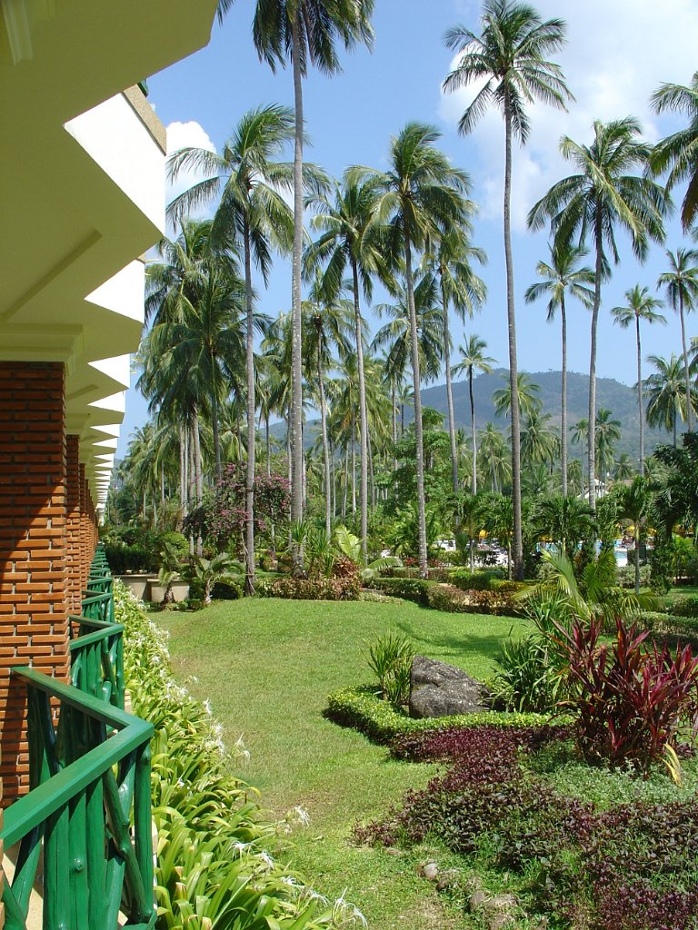 Duangjitt Resort 016