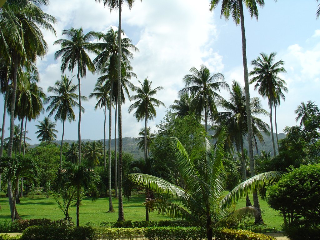 Duangjitt Resort 017