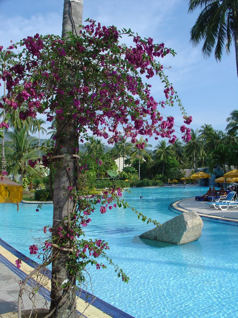 Duangjitt Resort 018