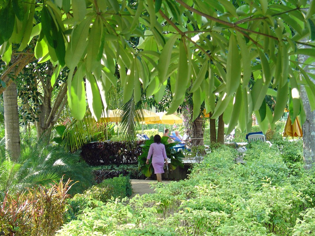 Duangjitt Resort 021