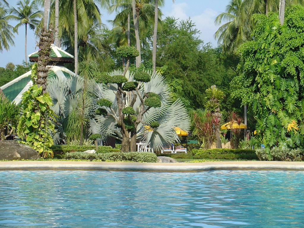 Duangjitt Resort 026