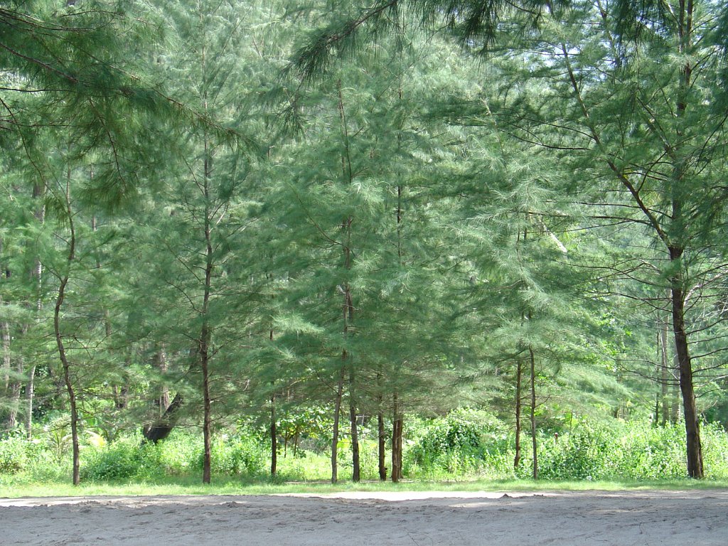 Duangjitt Resort 032