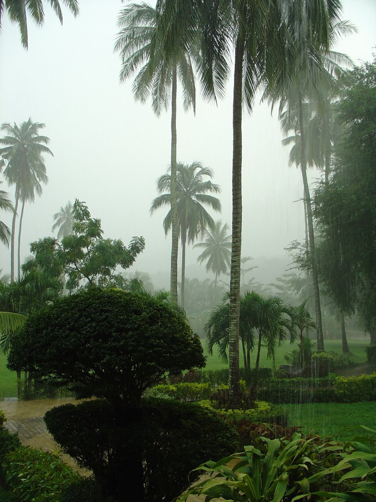 Duangjitt Resort 034