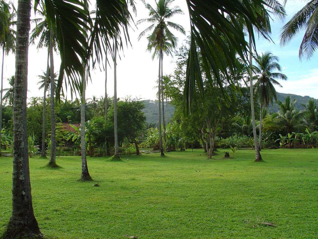 Duangjitt Resort 039