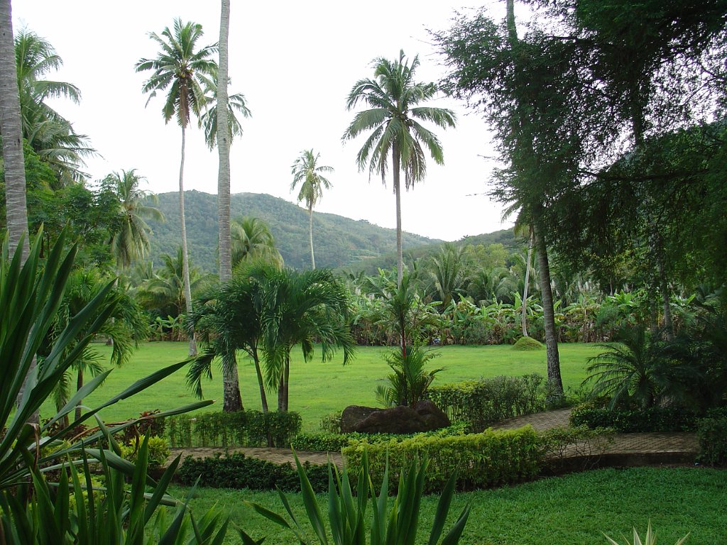 Duangjitt Resort 053