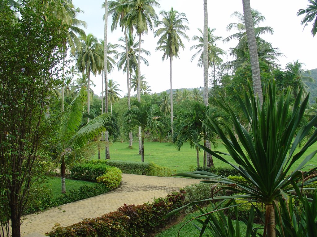 Duangjitt Resort 054