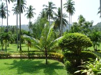 Duangjitt Resort 002