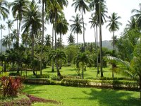 Duangjitt Resort 003