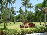 Duangjitt Resort 005