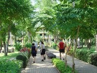 Duangjitt Resort 007