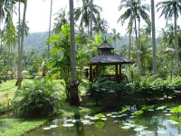 Duangjitt Resort 010