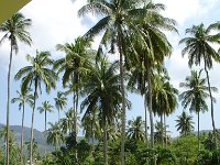 Duangjitt Resort 013