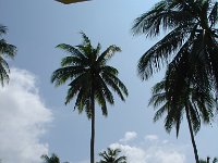 Duangjitt Resort 014