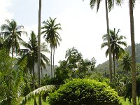 Duangjitt Resort 015