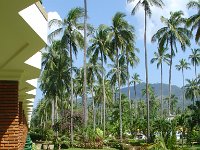 Duangjitt Resort 016