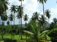 Duangjitt Resort 017