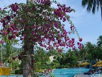 Duangjitt Resort 018