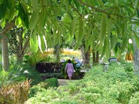 Duangjitt Resort 021