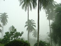 Duangjitt Resort 034