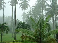 Duangjitt Resort 036