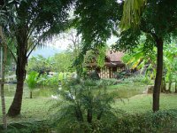 Duangjitt Resort 061