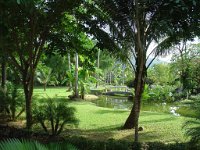 Duangjitt Resort 083