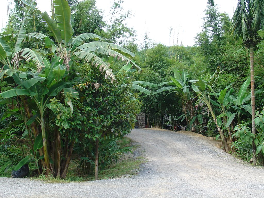 Nationalparken Kaho Sok 005