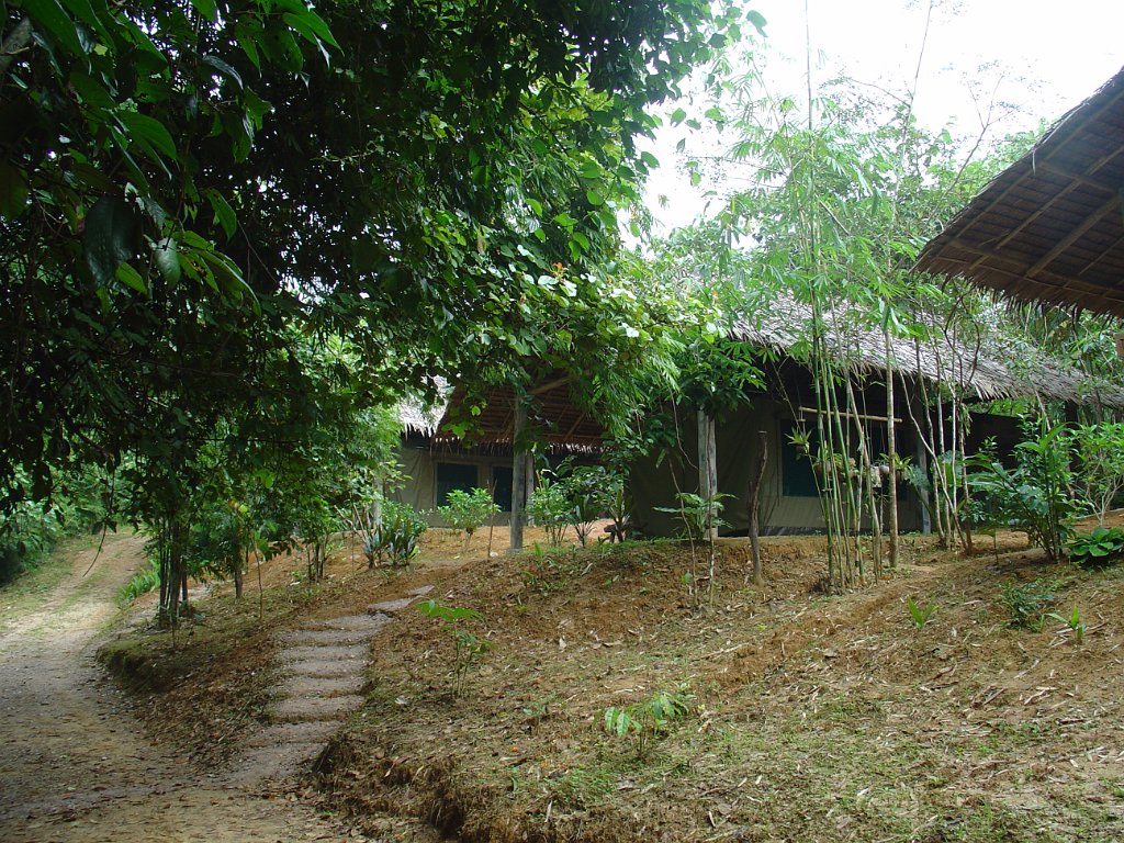 Nationalparken Kaho Sok 018