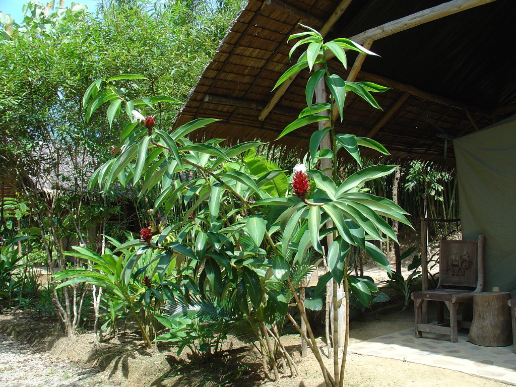 Nationalparken Kaho Sok 028