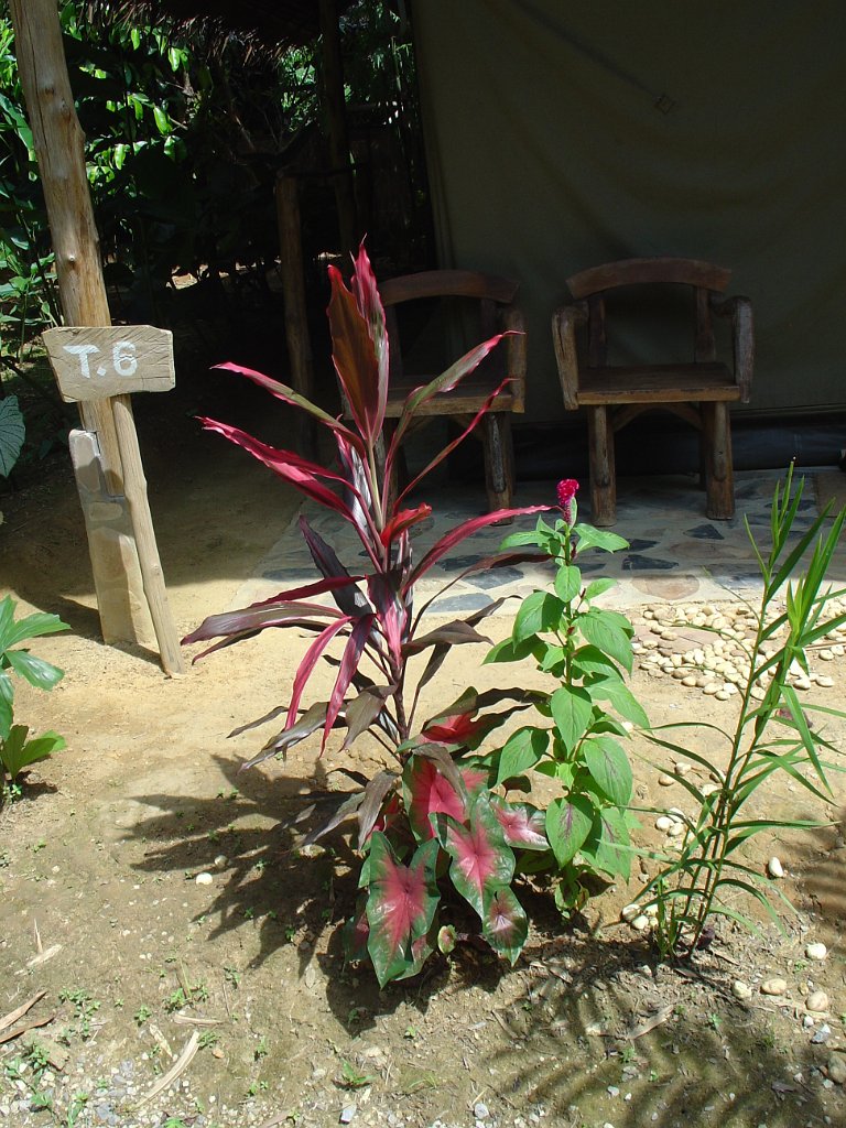 Nationalparken Kaho Sok 030