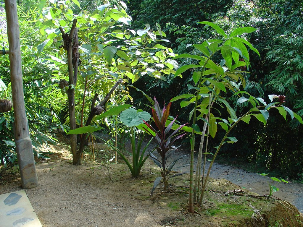 Nationalparken Kaho Sok 034