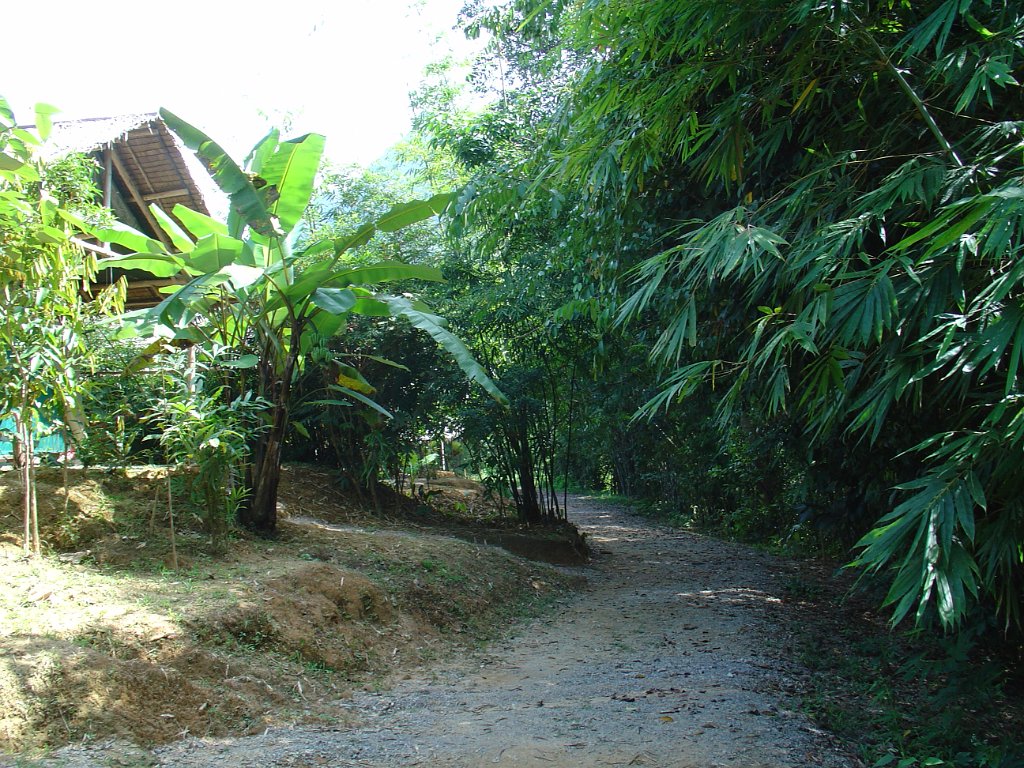 Nationalparken Kaho Sok 036